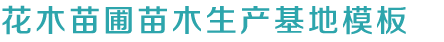 DG视讯.(中国)官方网站